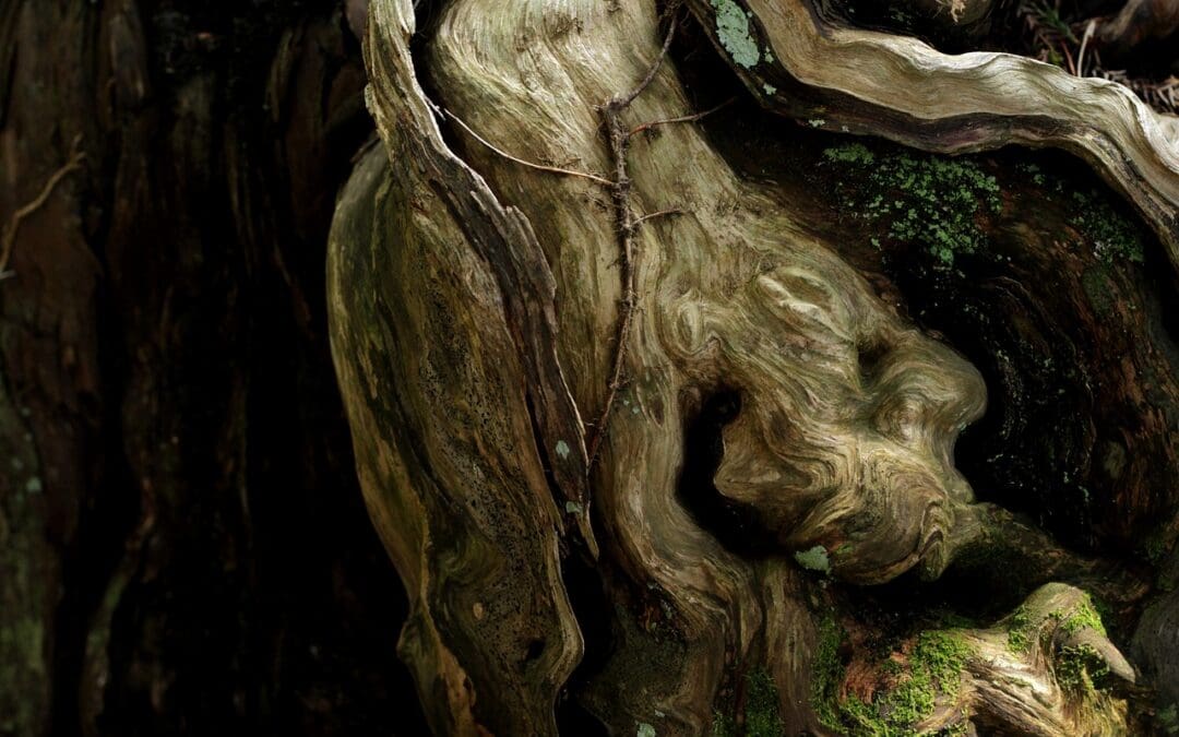 Oracles et guidance | Qui sont les Oracles ?